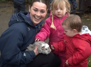 Nursery Guinea Pig2