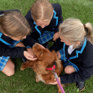 Screenshot 2026-02-15 at 18-26-41 Instagram