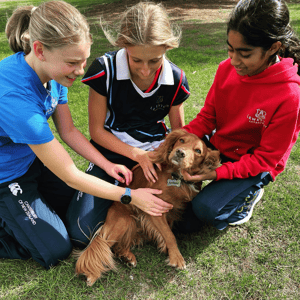 Screenshot 2026-02-15 at 18-52-09 Instagram