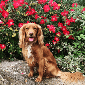 Screenshot 2026-02-15 at 18-52-23 Instagram