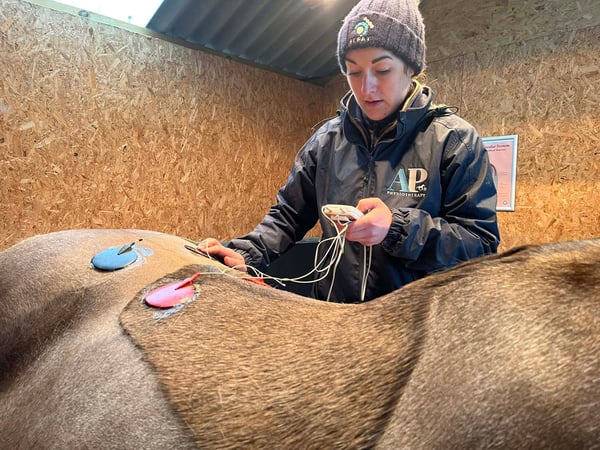 645565705_1368315015337829_6379657174147719868_n