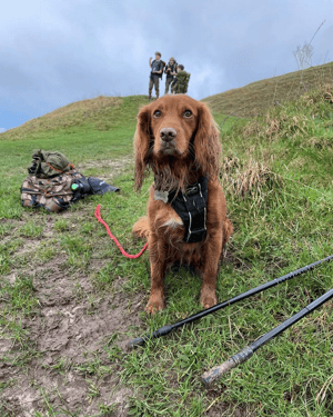 Screenshot 2026-02-15 at 18-30-33 Instagram