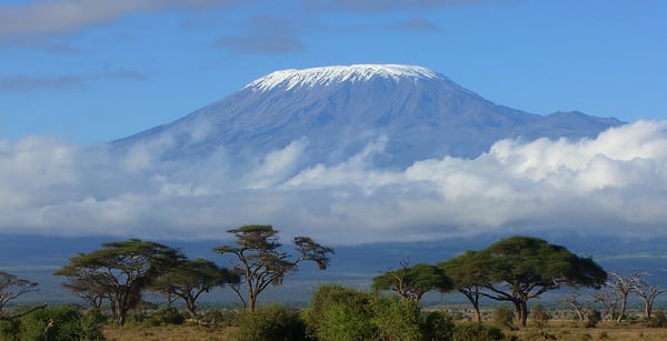 cropMount-Kilimanjaro